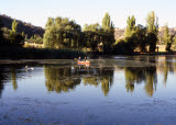 Select an image to enlarge