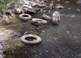 Select an image to enlarge