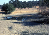 Select an image to enlarge