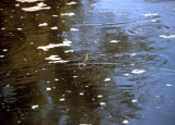 Select an image to enlarge