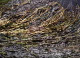 Select an image to enlarge