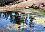 Select an image to enlarge