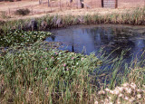 Select an image to enlarge