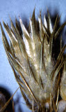 Select an image to enlarge