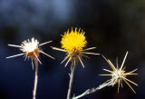 Select an image to enlarge