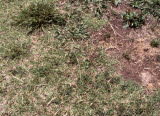 Select an image to enlarge