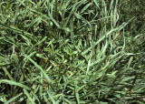 Select an image to enlarge