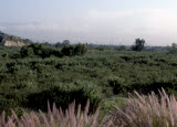 Select an image to enlarge
