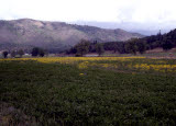 Select an image to enlarge