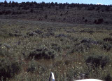 Select an image to enlarge