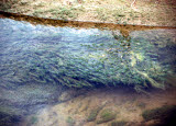 Select an image to enlarge