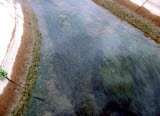 Select an image to enlarge