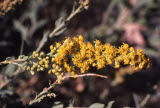 Select an image to enlarge