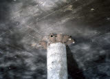 Select an image to enlarge