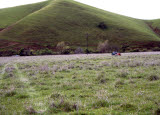 Select an image to enlarge