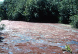 Select an image to enlarge