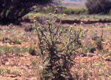 Select an image to enlarge