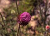Select an image to enlarge