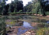 Select an image to enlarge