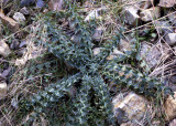 Select an image to enlarge