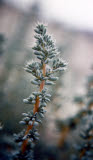 Select an image to enlarge