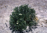 Select an image to enlarge