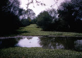 Select an image to enlarge