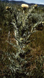 Select an image to enlarge
