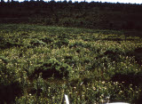 Select an image to enlarge