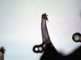 Select an image to enlarge