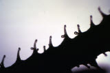 Select an image to enlarge