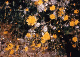 Select an image to enlarge