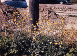 Select an image to enlarge