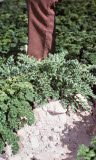 Select an image to enlarge