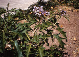 Select an image to enlarge