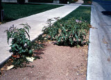 Select an image to enlarge