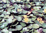 Select an image to enlarge