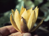 Select an image to enlarge