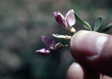 Select an image to enlarge