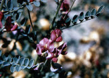 Select an image to enlarge