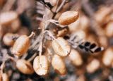 Select an image to enlarge