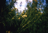 Select an image to enlarge