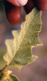 Select an image to enlarge