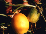 Select an image to enlarge