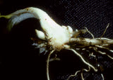 Select an image to enlarge