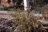 Select an image to enlarge