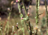 Select an image to enlarge