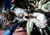 Select an image to enlarge