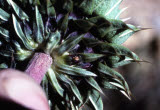Select an image to enlarge