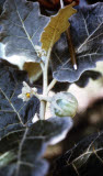 Select an image to enlarge